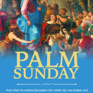 A037Palm_trad_2_EN_4c