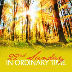 A124OT22_nat_1_EN_4c