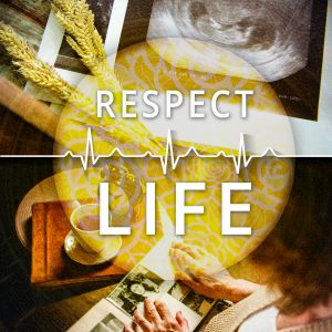2017_Cover_RespectLifeSunday_EN_4c